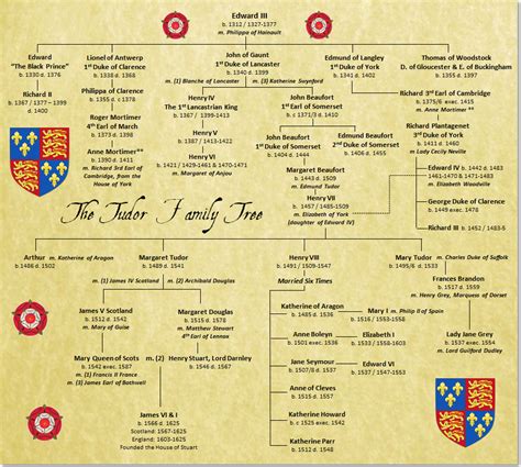 felpa family family family tudor|house of tudor kingdom.